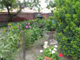 A/I/2025/0023 - 