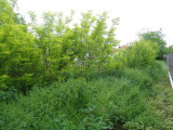 A/I/2025/0029 - 