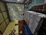 A/I/2025/0077 - 