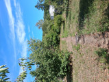 A/I/2025/0078 - 