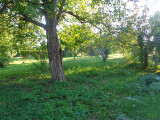 A/I/2025/0090 - 