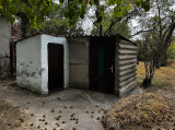 A/I/2025/0097 - 