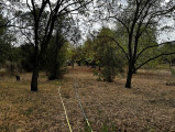 A/I/2025/0097 - 