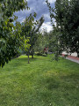 A/I/2025/0098 - 