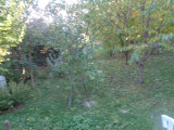 A/I/2025/0107 - 