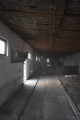 A/I/2026/0051 - 