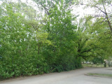 A/I/2026/0067 - 
