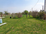 A/I/2026/0078 - 