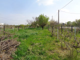 A/I/2026/0078 - 