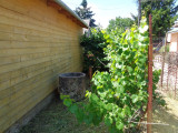 A/I/2026/0084 - 