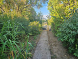A/I/2026/0103 - 