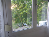 A/I/2026/0065 - 